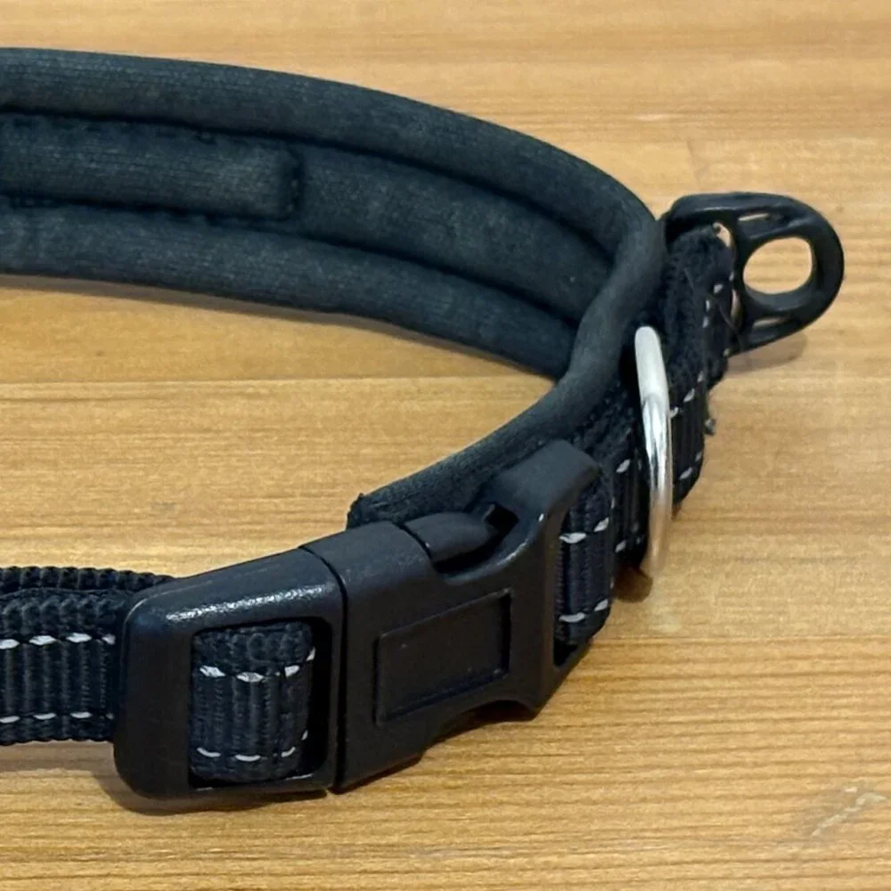 Mighty Paw Black Dog Collar - Neoprene Padded - Reflective for Running, Size S